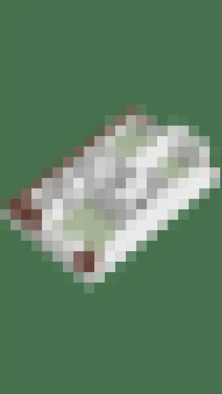 Brugdam 15 Lage Zwaluwe thumbnail 77