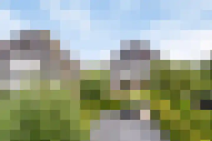 Brugdam 15 Lage Zwaluwe thumbnail 82