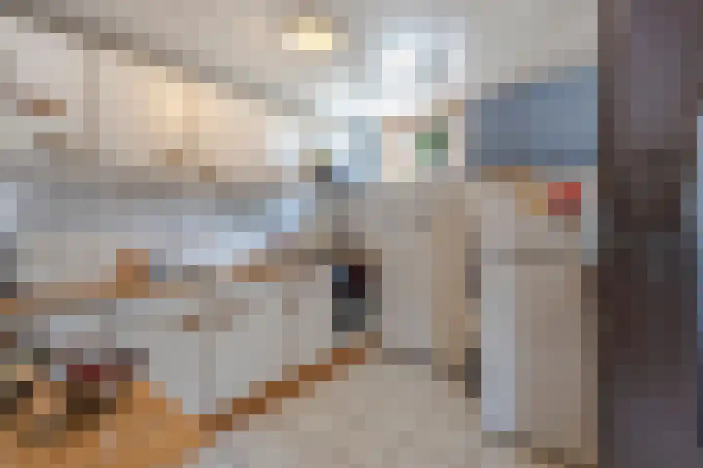 Brugdam 2 Almkerk thumbnail 32