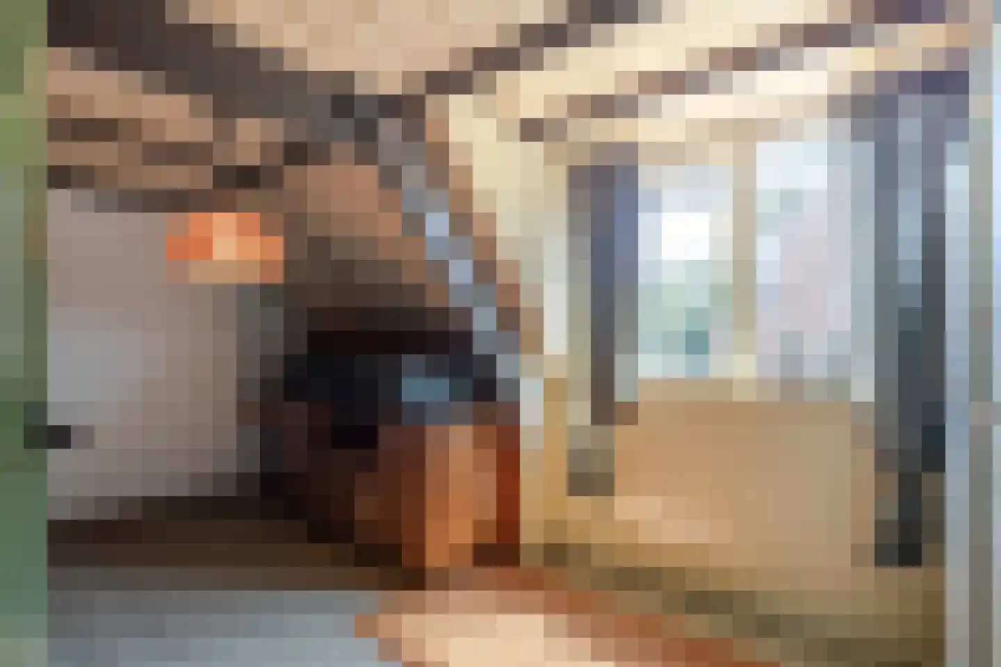 Brugdam 2 Almkerk thumbnail 40