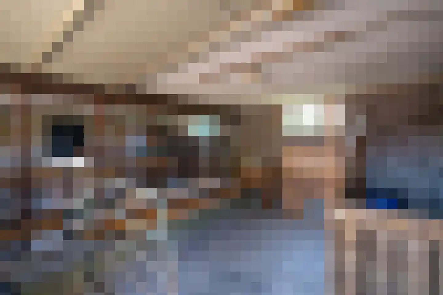 Brugdam 2 Almkerk thumbnail 46