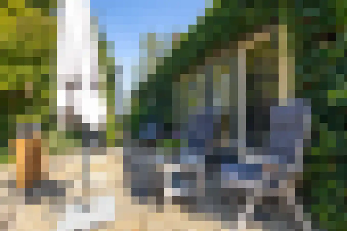Brugdam 2 Almkerk thumbnail 52