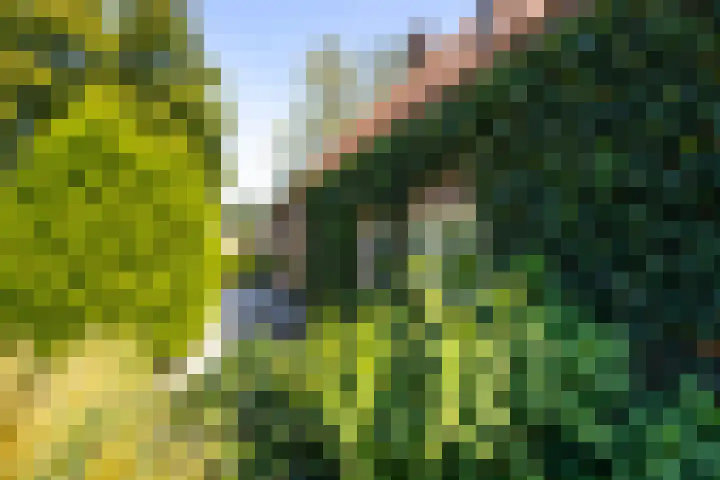 Brugdam 2 Almkerk thumbnail 53