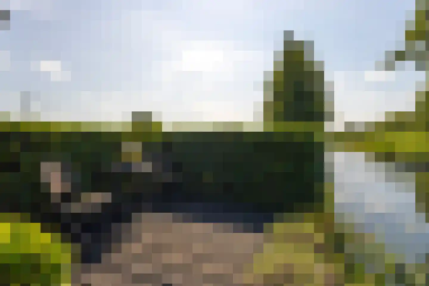 Brugdam 2 Almkerk thumbnail 58