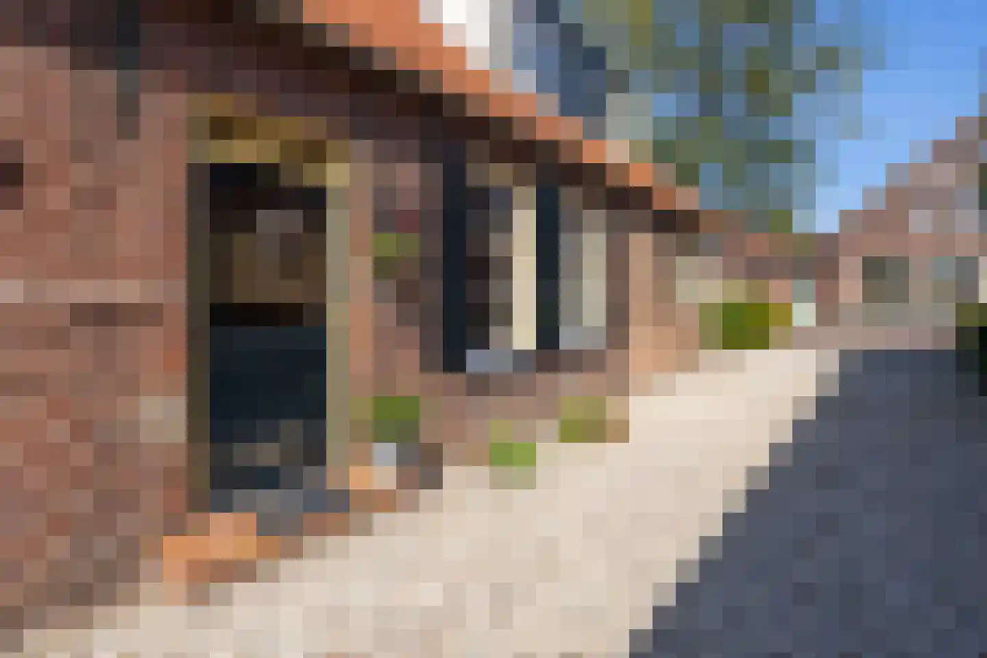 Brugdam 2 Almkerk thumbnail 62