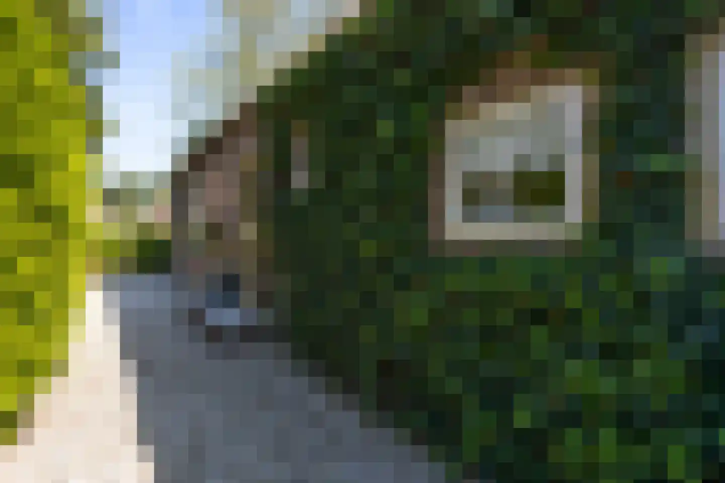 Brugdam 2 Almkerk thumbnail 67
