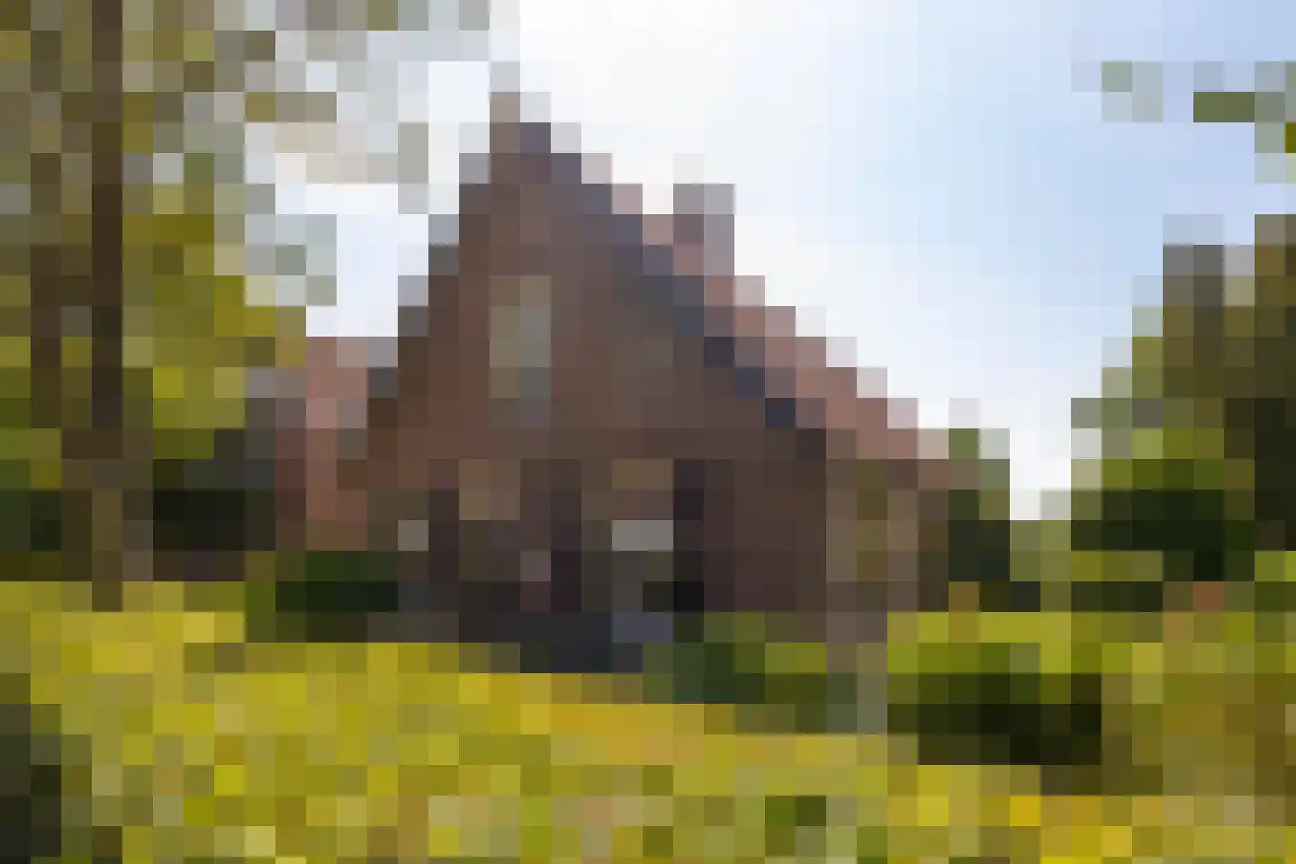 Brugdam 2 Almkerk thumbnail 7