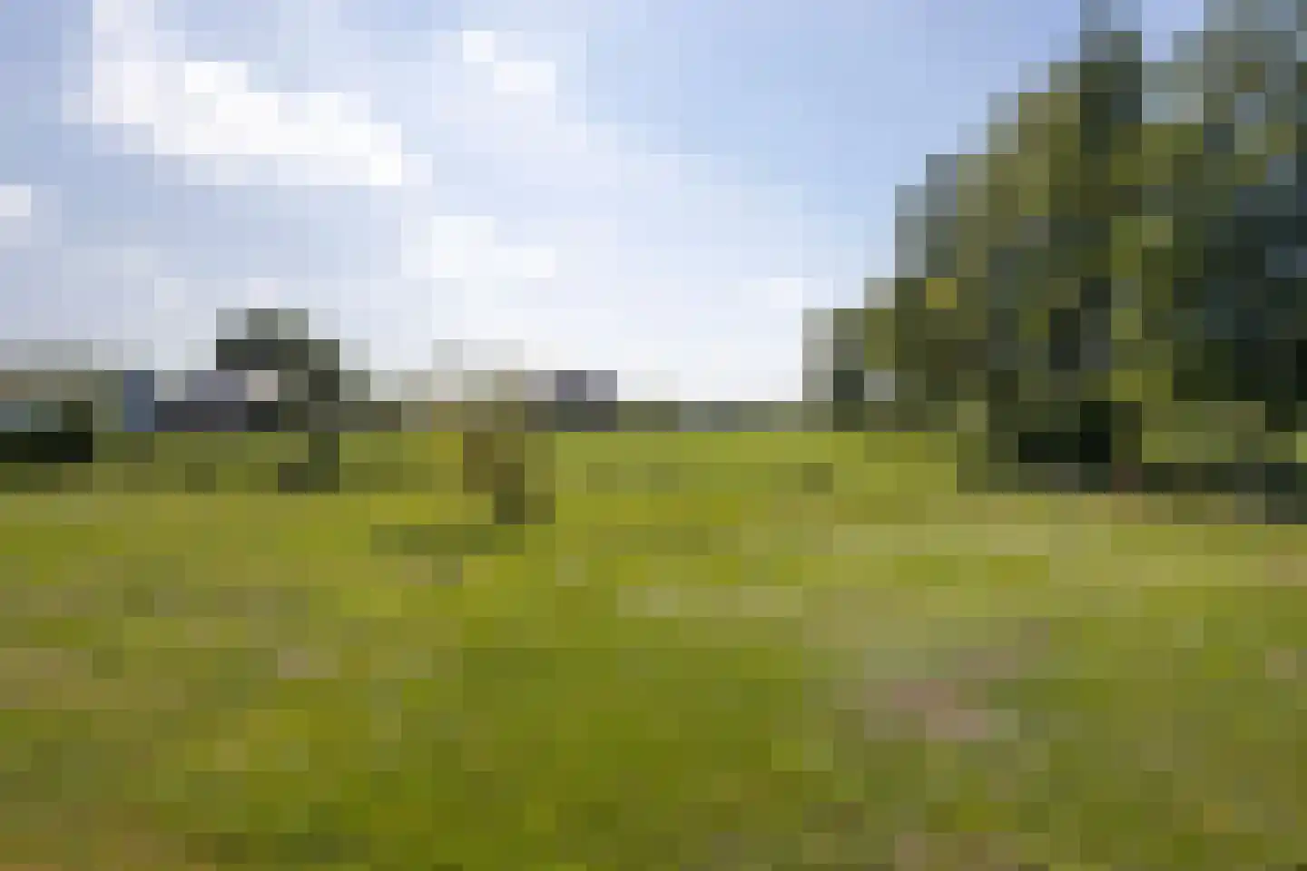 Brugdam 2 Almkerk thumbnail 74