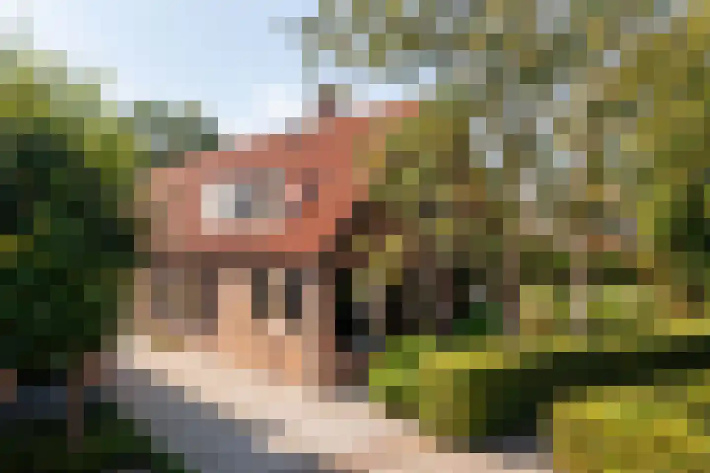 Brugdam 2 Almkerk thumbnail 76