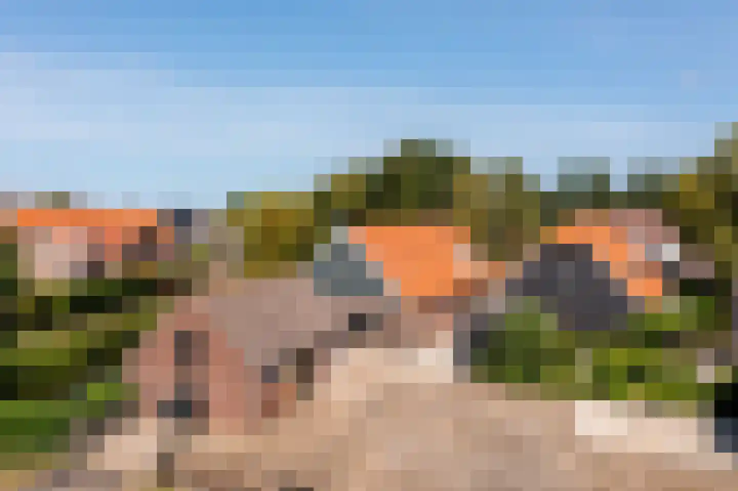 Brugdam 2 Almkerk thumbnail 79