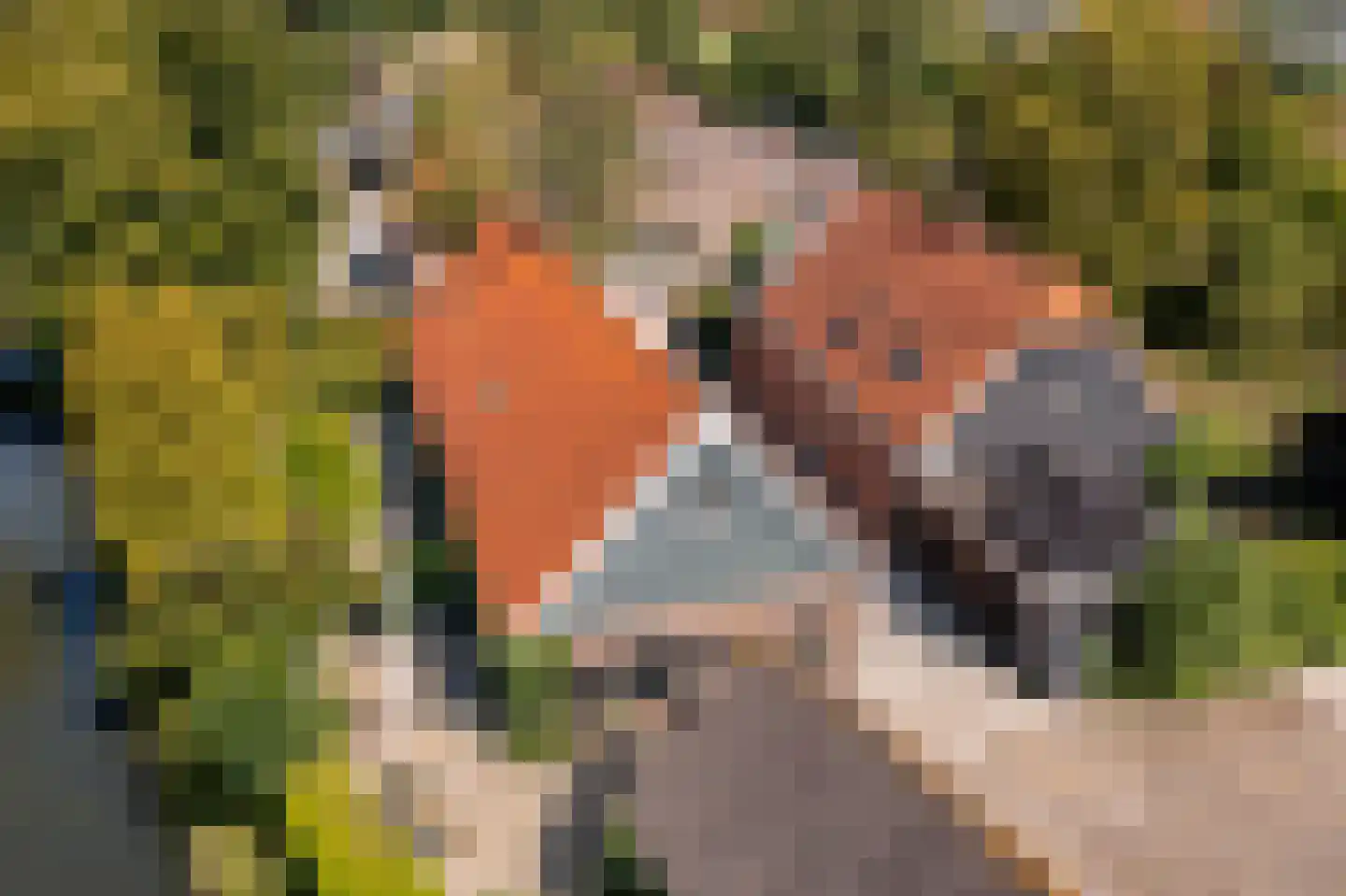 Brugdam 2 Almkerk thumbnail 83