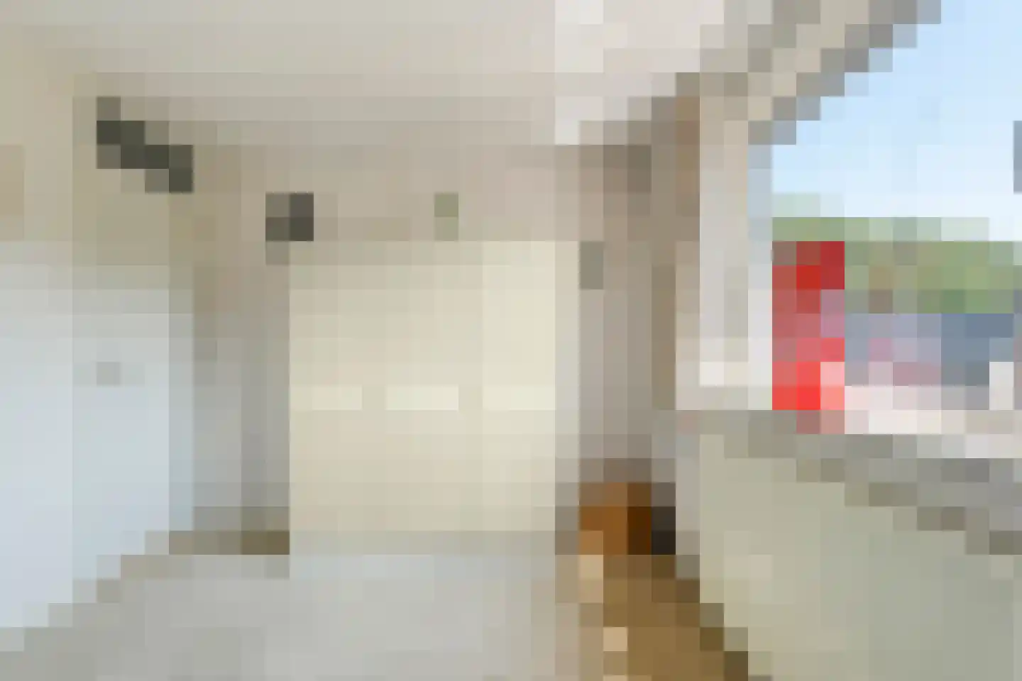 Bruges 10 Dwingeloo thumbnail 27