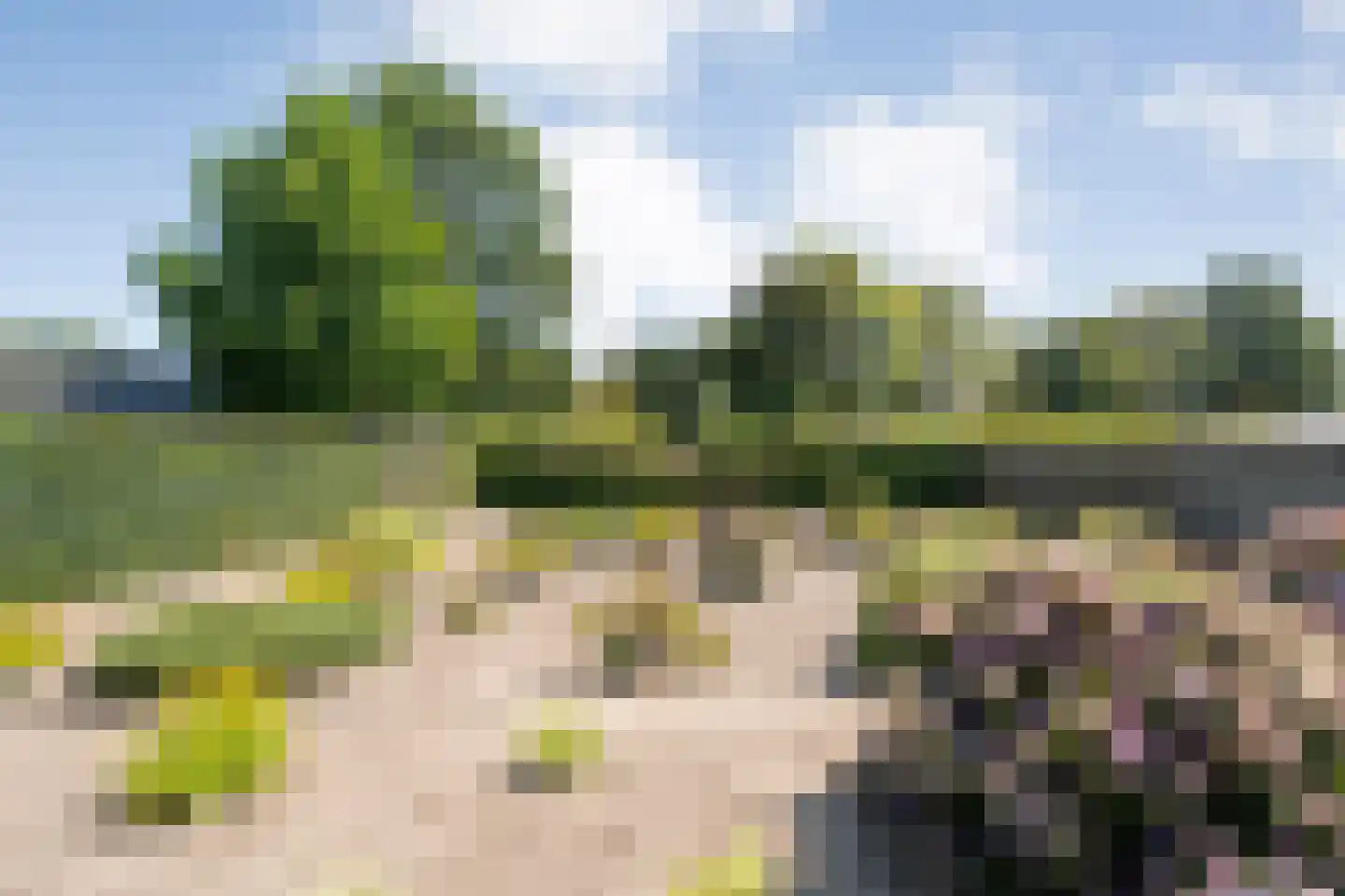 Bruges 10 Dwingeloo thumbnail 4