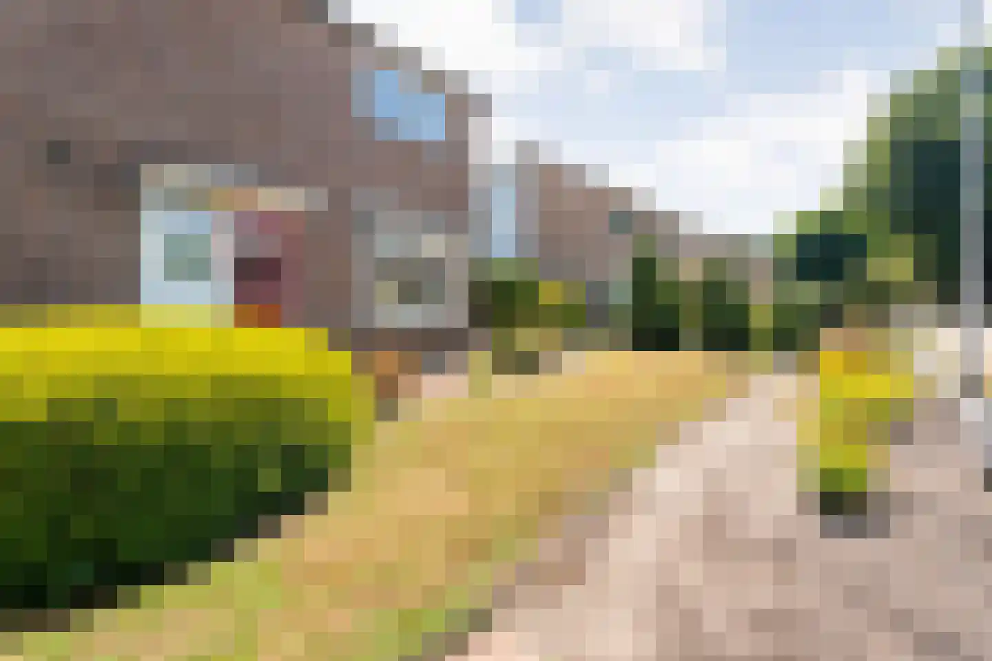 Bruges 10 Dwingeloo thumbnail 46