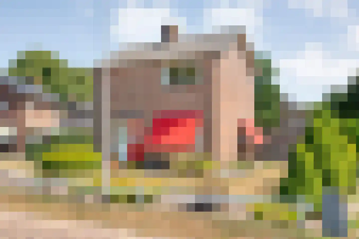 Bruges 10 Dwingeloo thumbnail 53