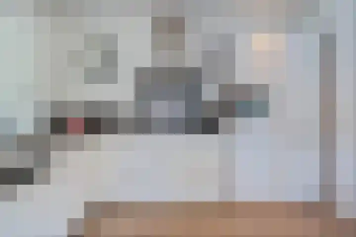 Bruges 9 Dwingeloo thumbnail 10