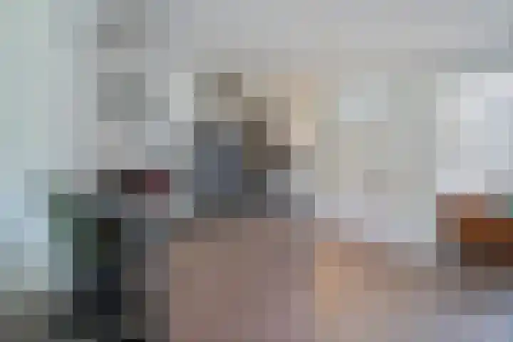 Bruges 9 Dwingeloo thumbnail 11
