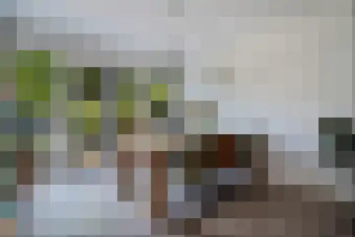 Bruges 9 Dwingeloo thumbnail 13