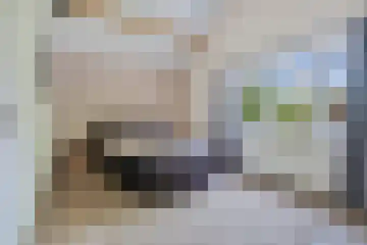 Bruges 9 Dwingeloo thumbnail 20