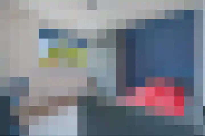 Bruges 9 Dwingeloo thumbnail 24