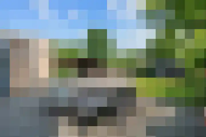 Bruges 9 Dwingeloo thumbnail 30