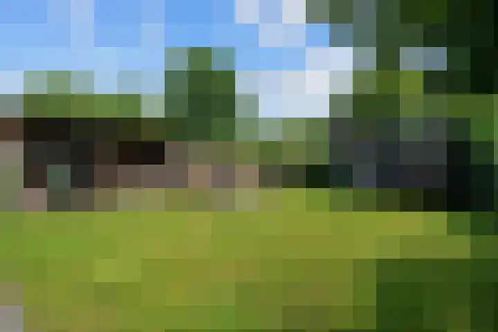 Bruges 9 Dwingeloo thumbnail 31
