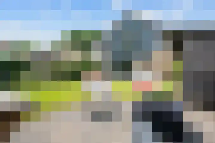 Bruges 9 Dwingeloo thumbnail 33