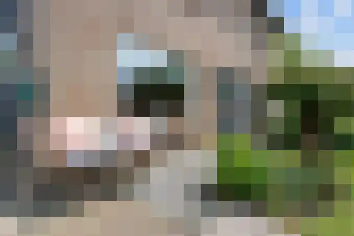Bruges 9 Dwingeloo thumbnail 35