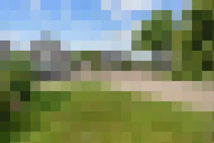 Bruges 9 Dwingeloo thumbnail 37