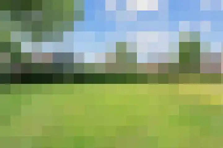 Bruges 9 Dwingeloo thumbnail 38
