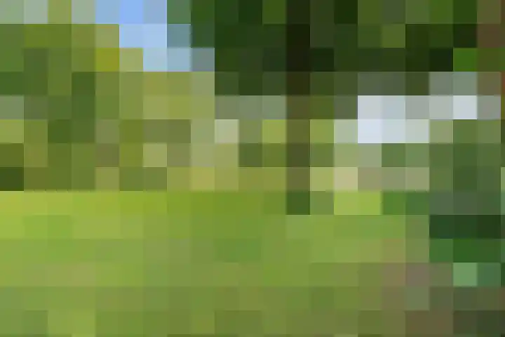 Bruges 9 Dwingeloo thumbnail 39