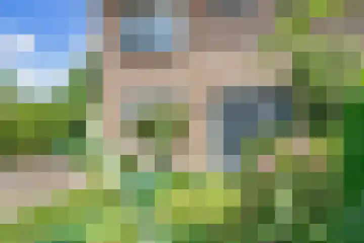 Bruges 9 Dwingeloo thumbnail 4