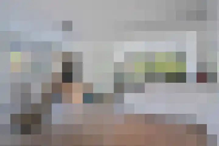 Bruges 9 Dwingeloo thumbnail 5