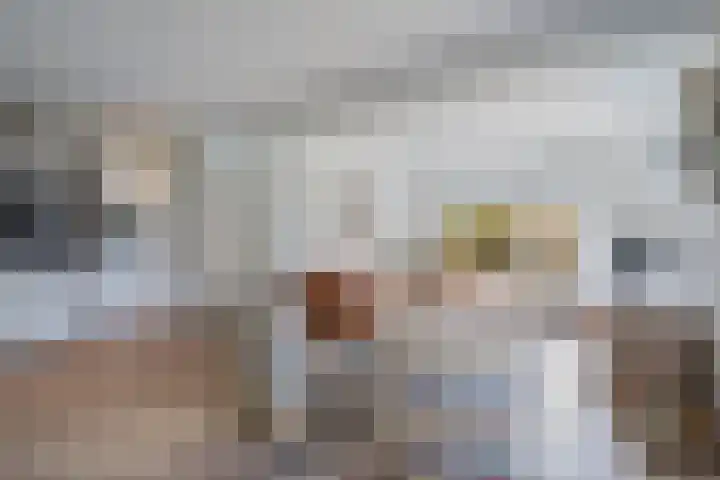 Bruges 9 Dwingeloo thumbnail 6