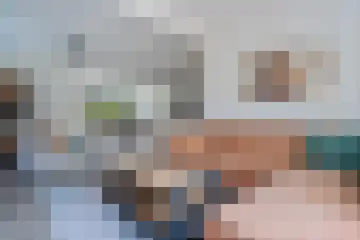 Bruges 9 Dwingeloo thumbnail 8