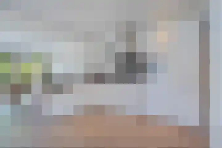 Bruges 9 Dwingeloo thumbnail 9