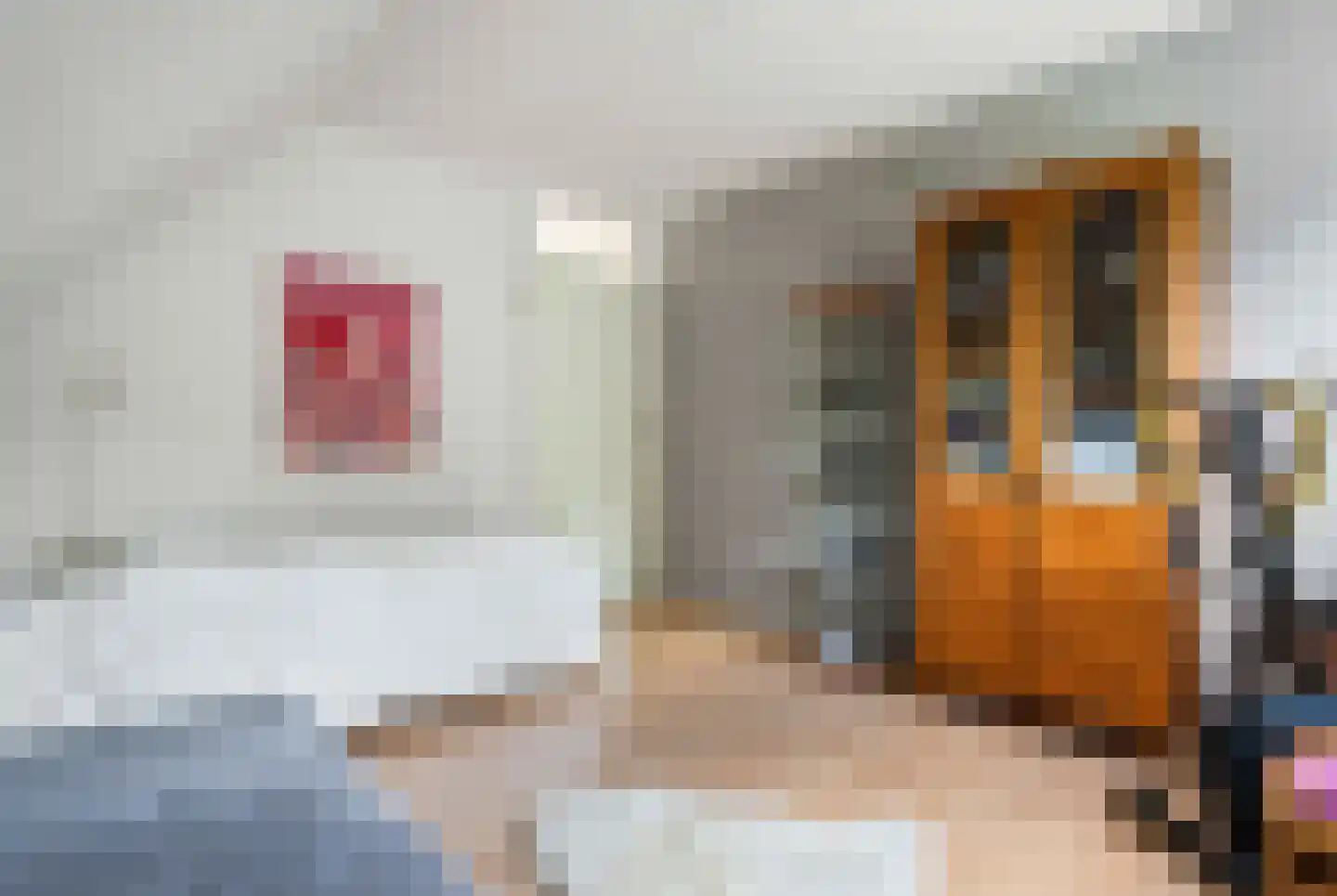 Brugesakker 29 Dwingeloo thumbnail 27
