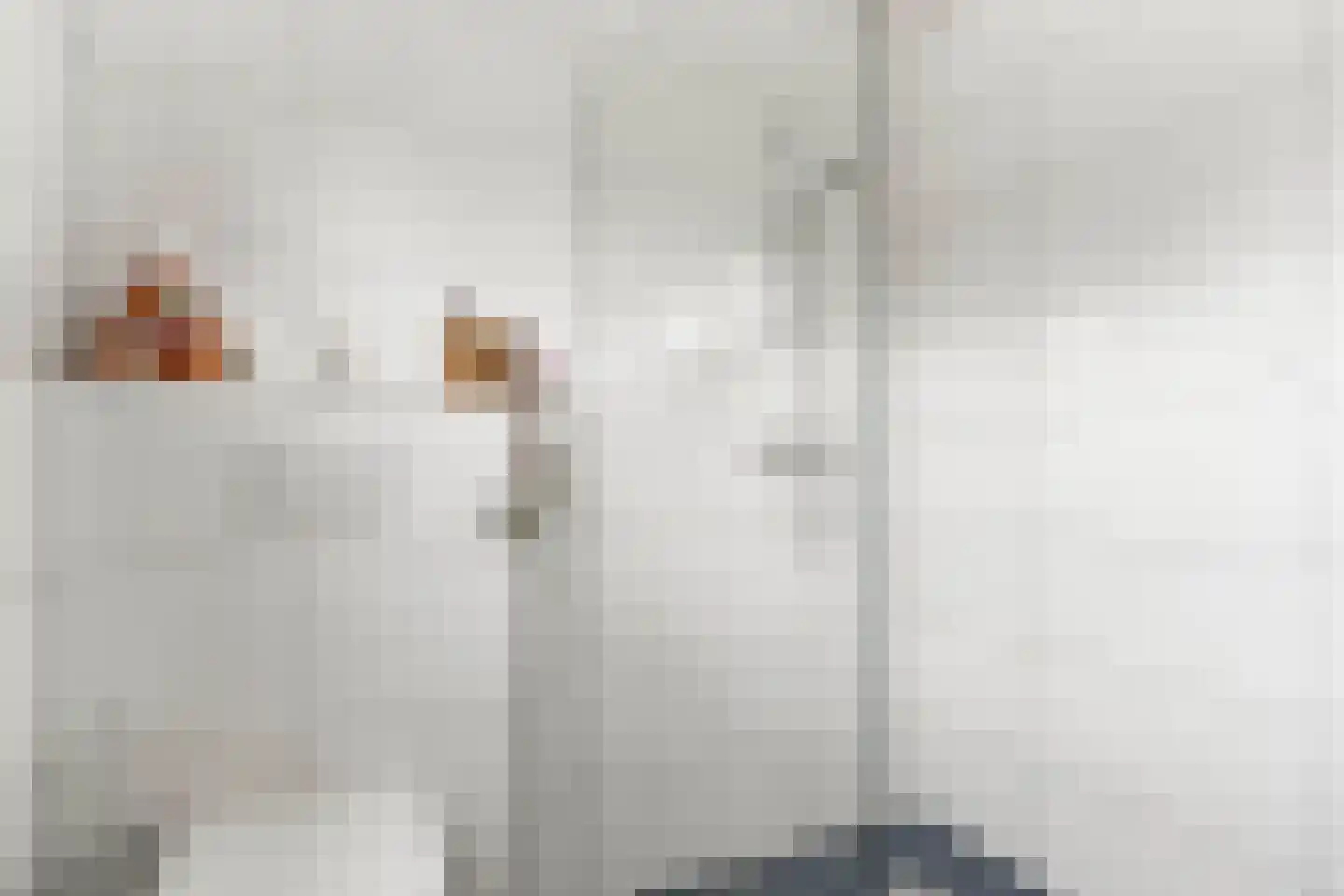 Brugesakker 29 Dwingeloo thumbnail 32