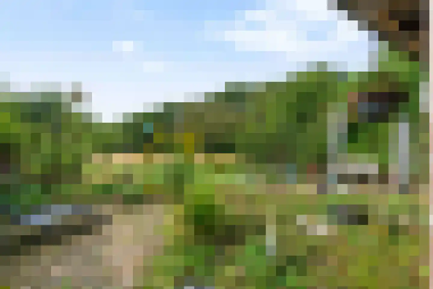 Brugesakker 29 Dwingeloo thumbnail 39