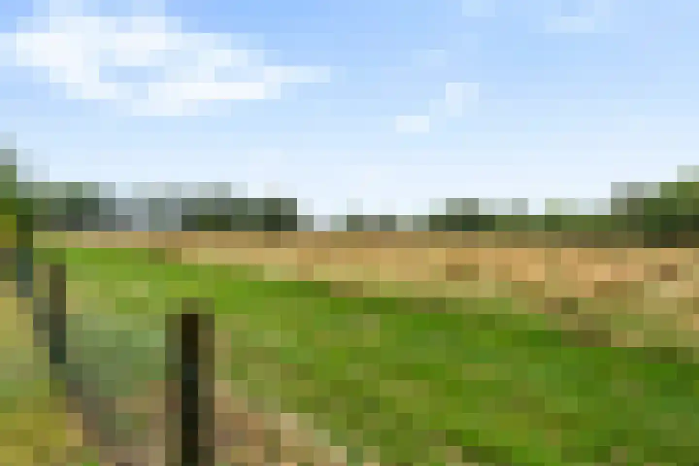 Brugesakker 29 Dwingeloo thumbnail 42
