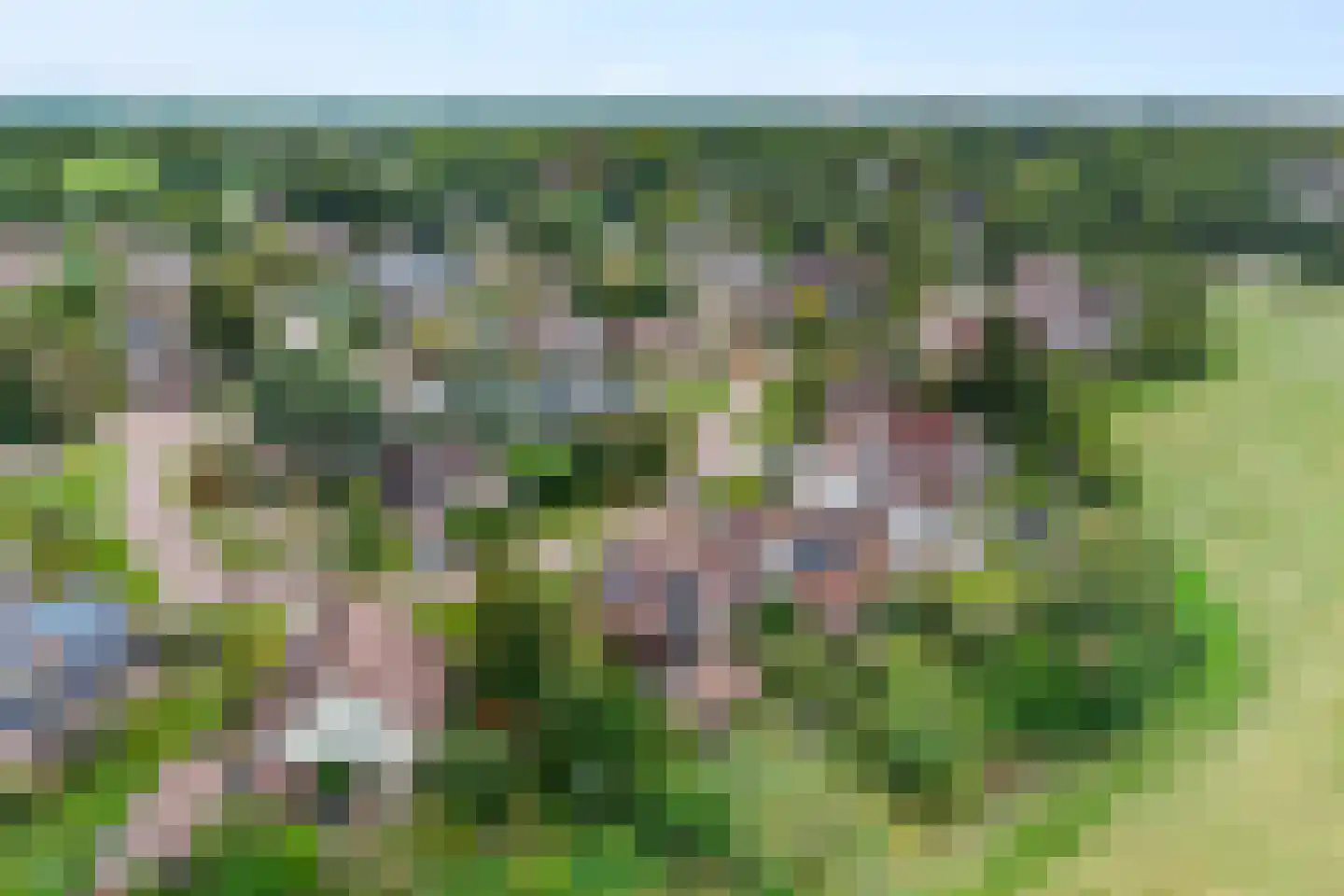 Brugesakker 29 Dwingeloo thumbnail 46