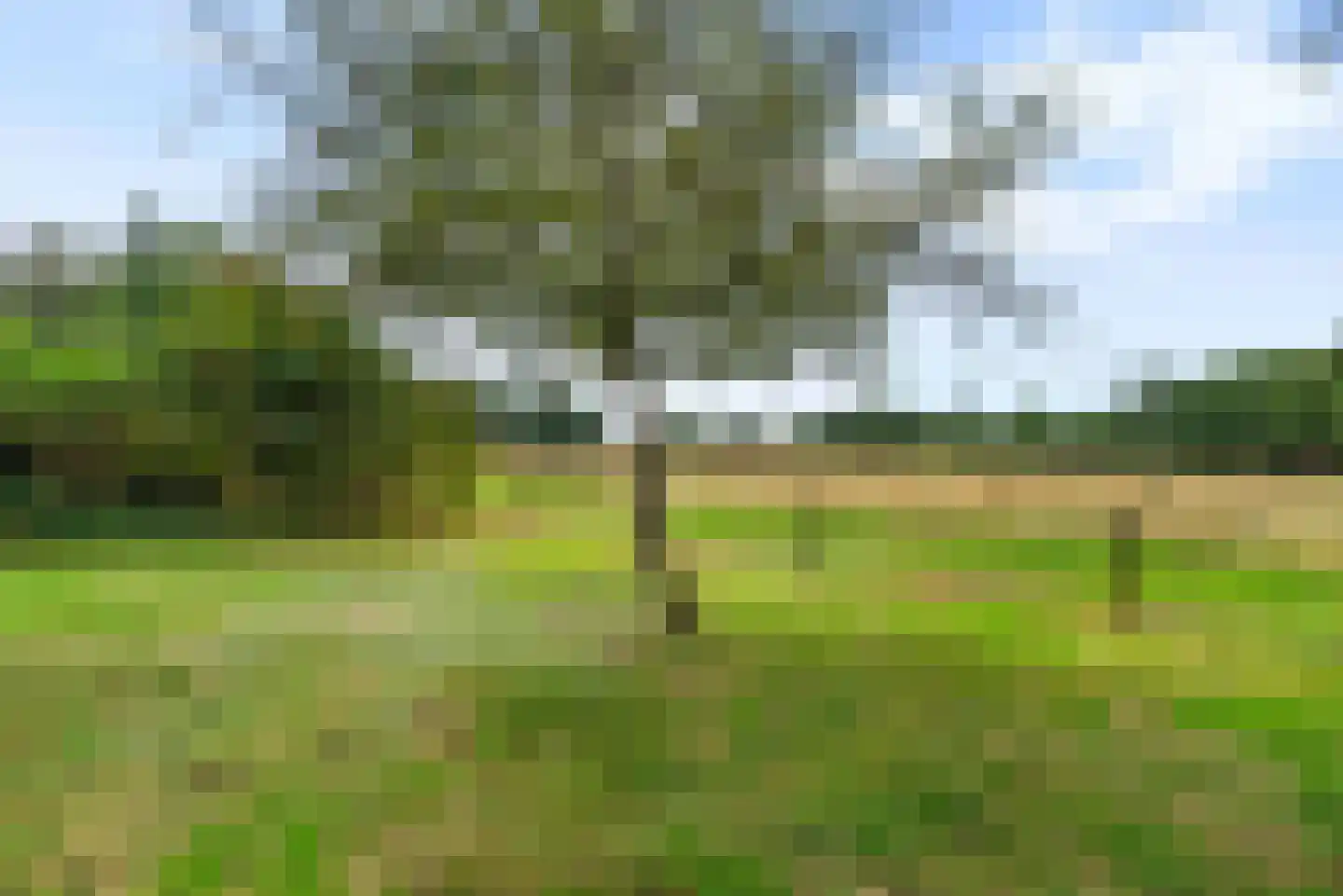 Brugesakker 29 Dwingeloo thumbnail 5