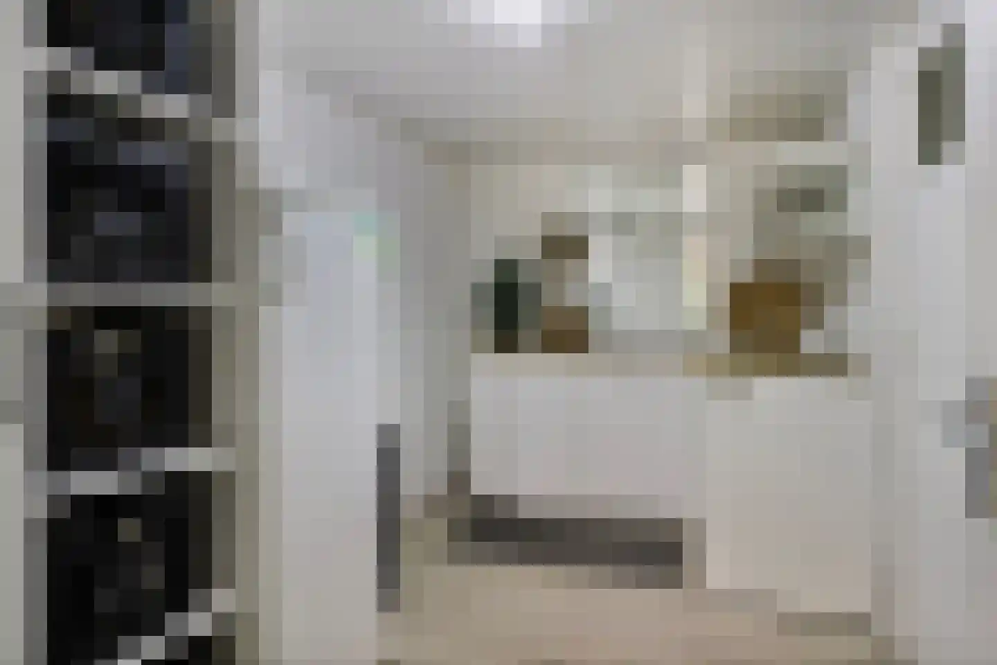 Bruggelaan 30 Eindhoven thumbnail 17