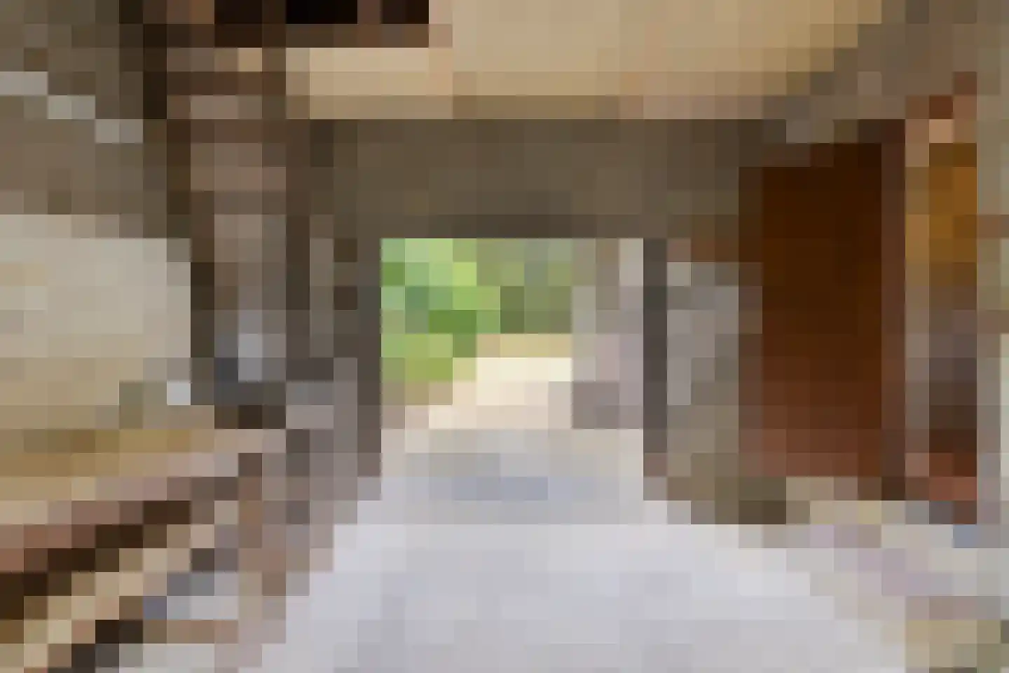 Bruggelkes 10 Geulle thumbnail 21