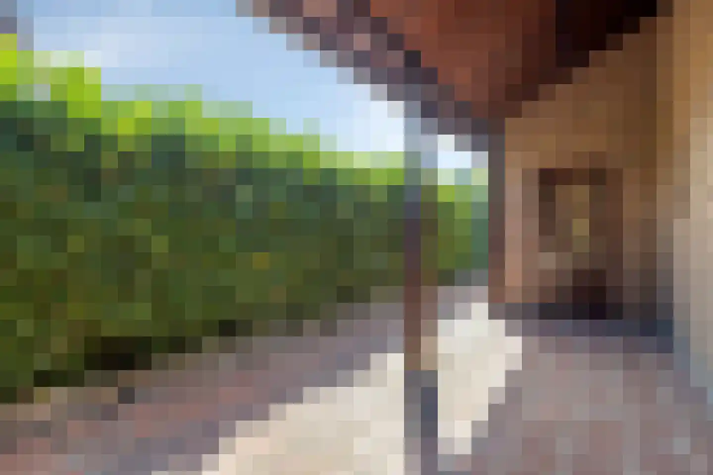 Bruggelkes 10 Geulle thumbnail 23