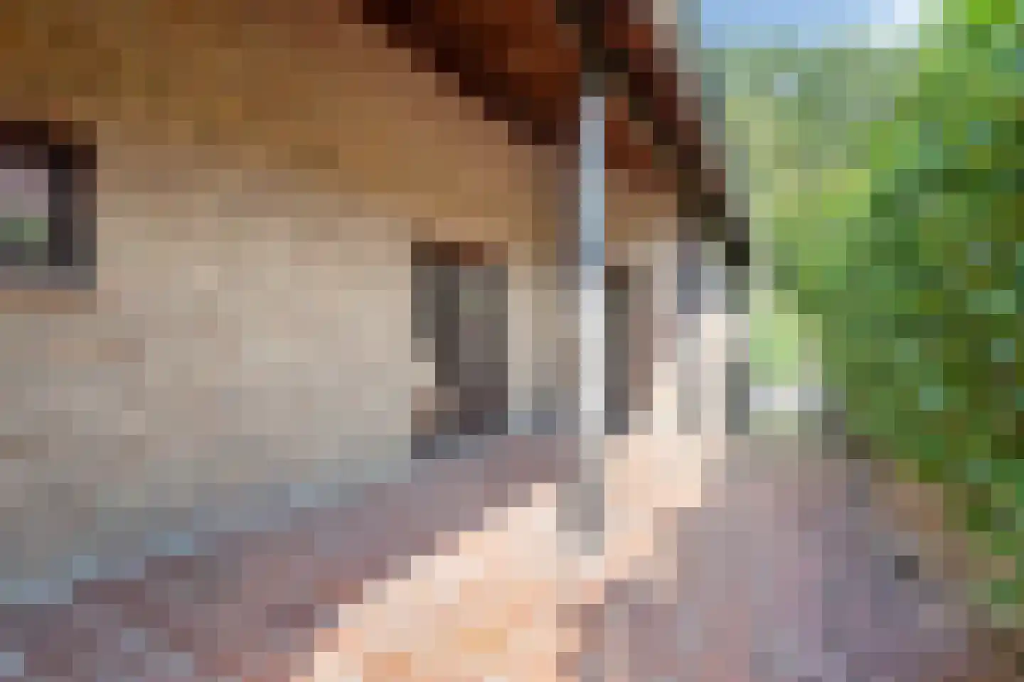 Bruggelkes 10 Geulle thumbnail 24