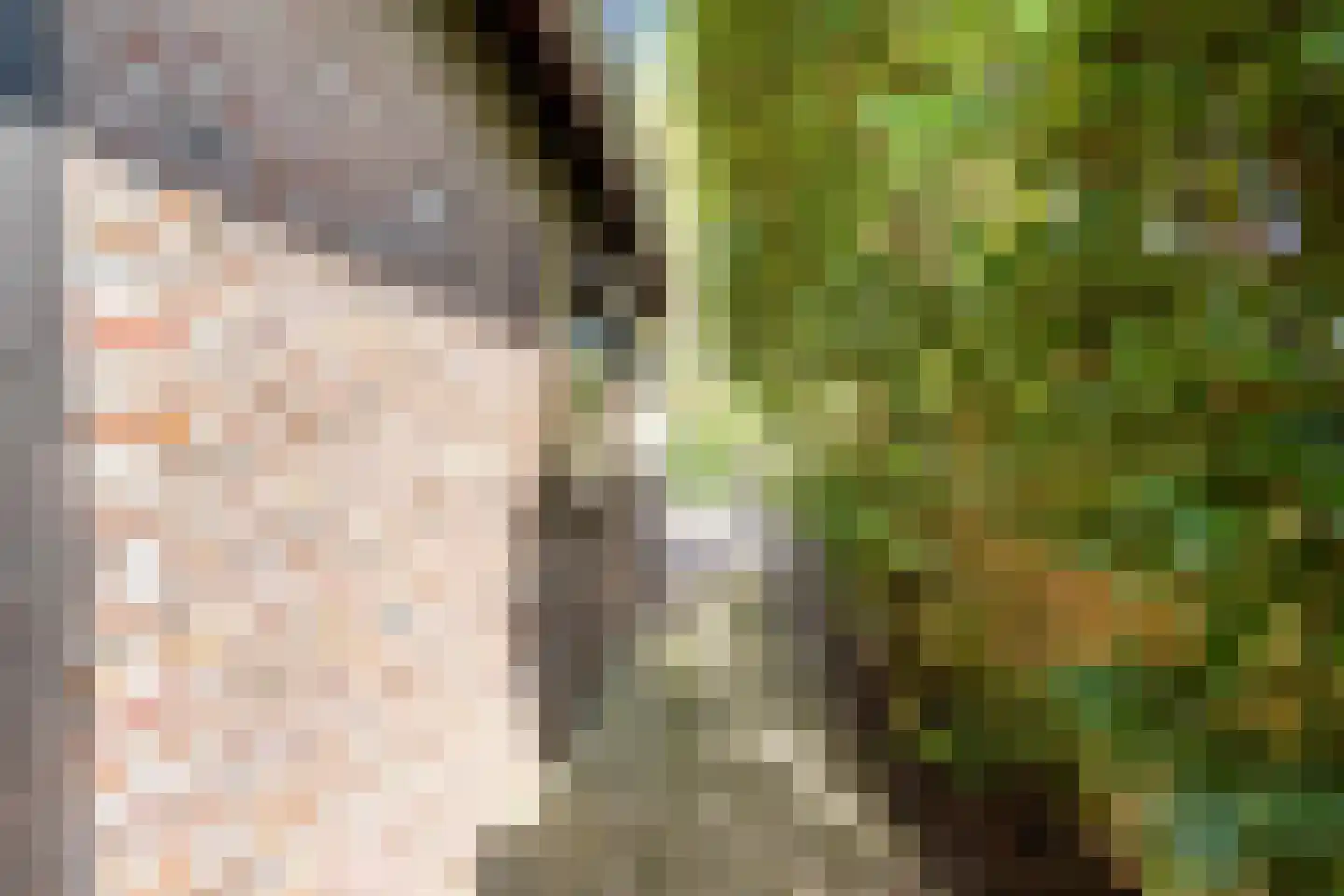 Bruggelkes 10 Geulle thumbnail 25