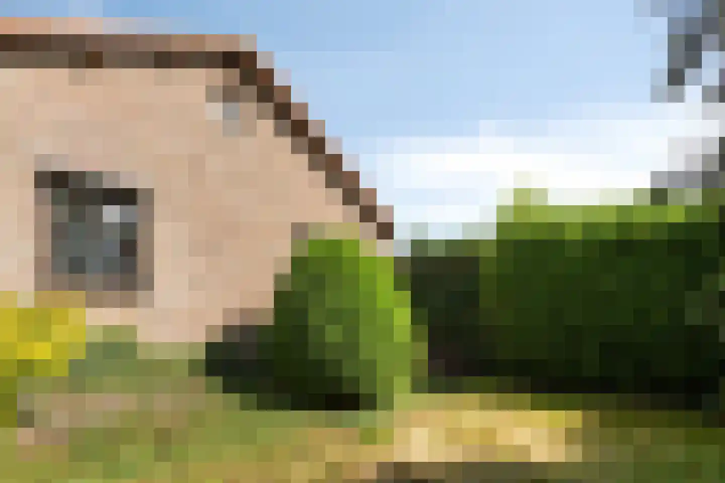 Bruggelkes 10 Geulle thumbnail 27