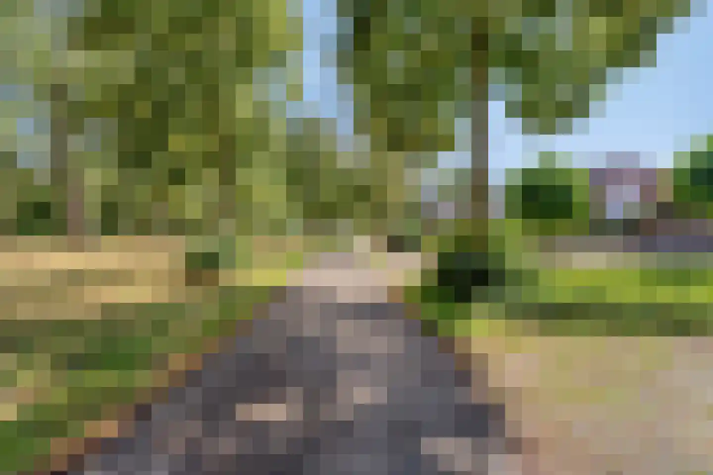 Bruggelkes 10 Geulle thumbnail 30