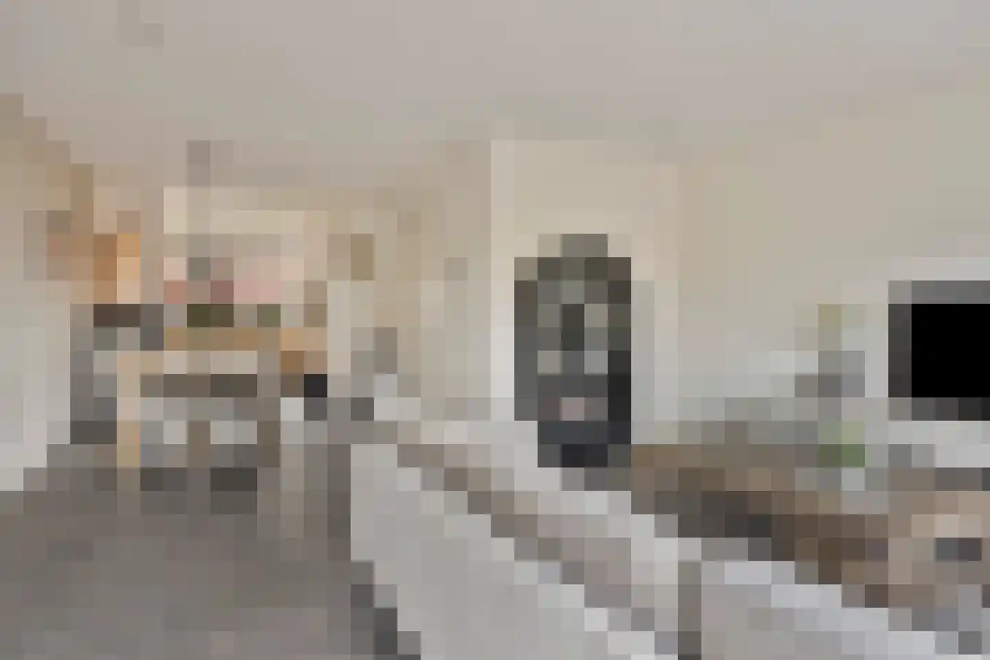 Bruggemaat 16 Borne thumbnail 10